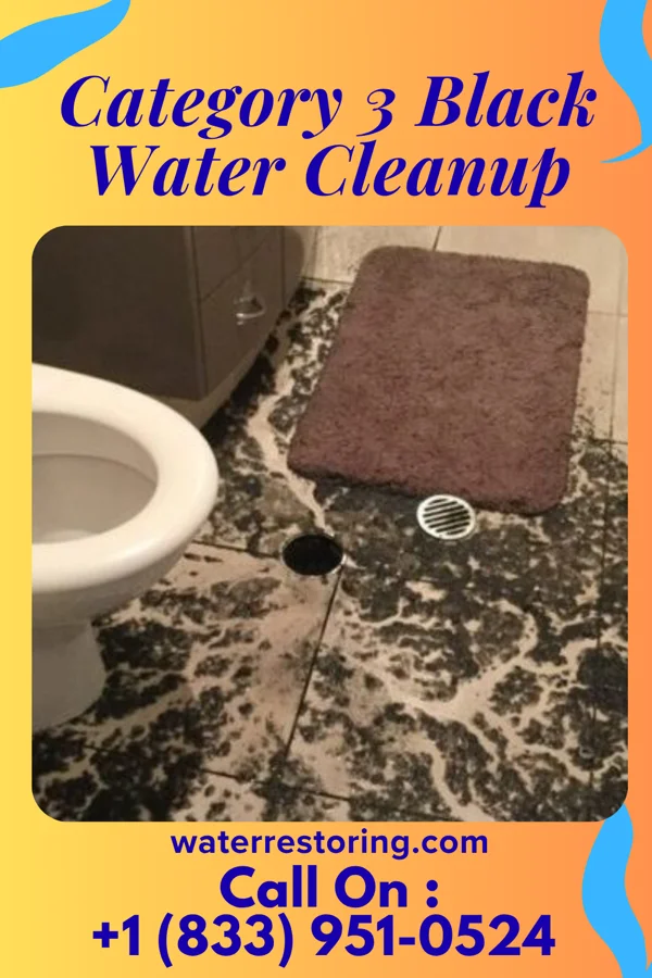 Category 3 Black Water Cleanup in Varna, NY