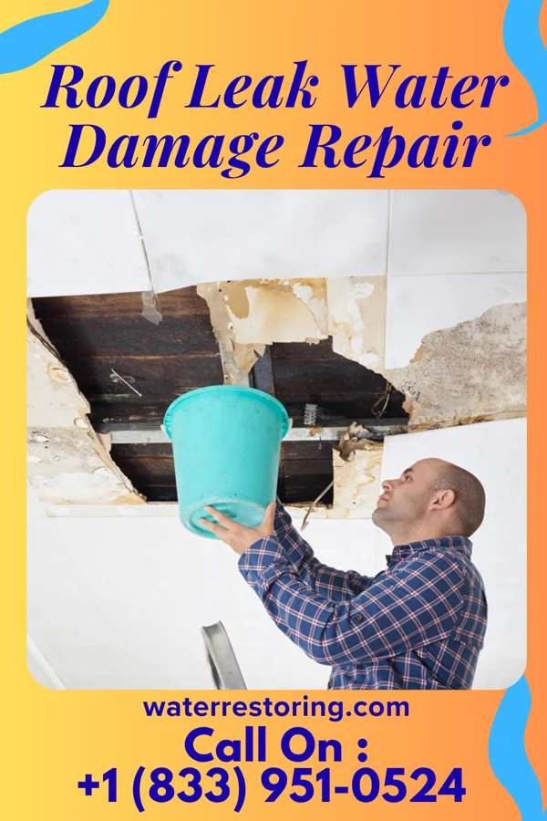 Roof Leak Water Damage Repair in Varna, NY