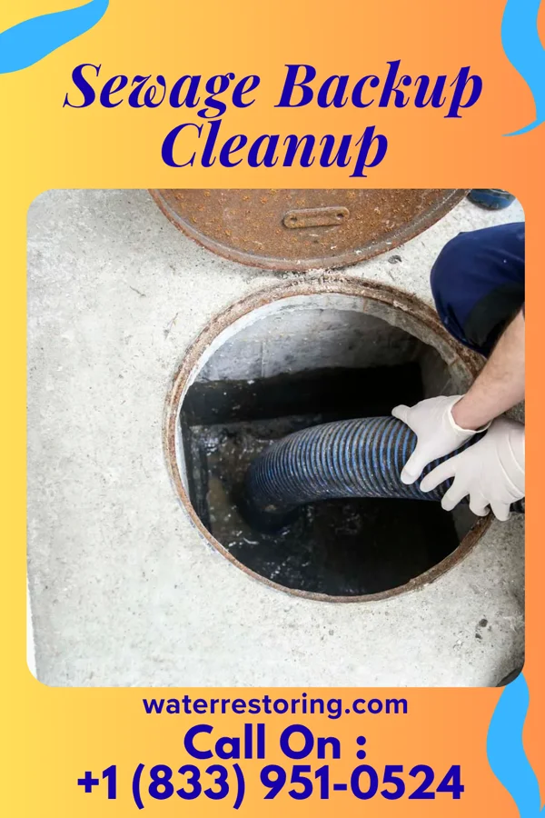 Sewage Backup Cleanup in Varna, NY