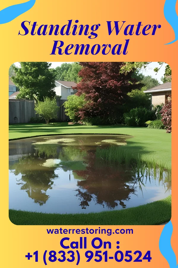 Standing Water Removal in Varna, NY